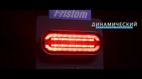 FT-320 LED - RUS - Фонари задние FRISTOM